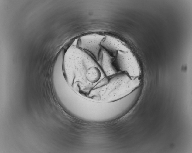 X0000112941353200910051145