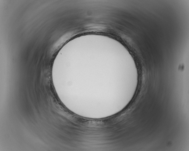 X0000112941354200910051145