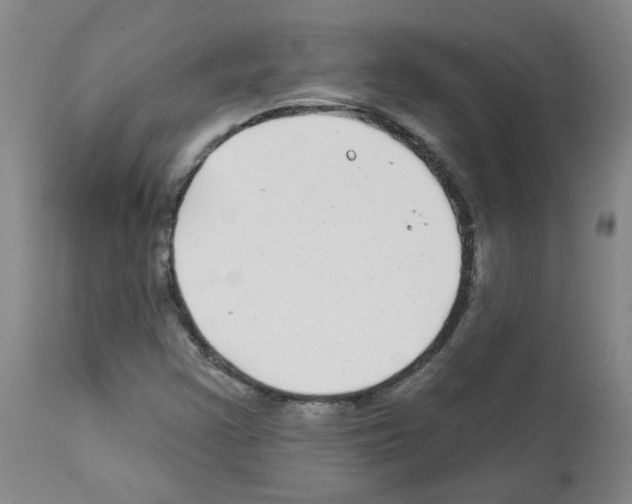 X0000112941355200910051145