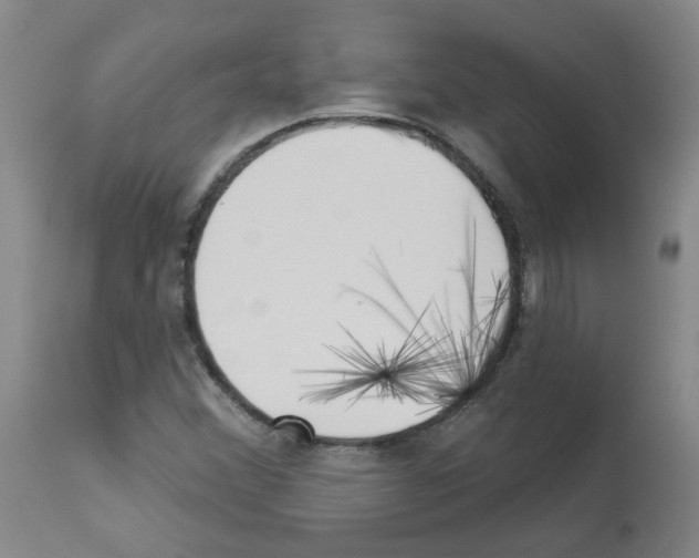 X0000112941356200910051145