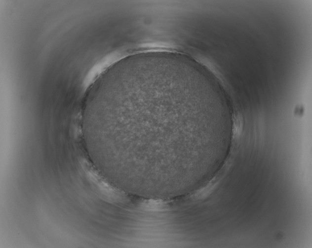 X0000112941357200910051145