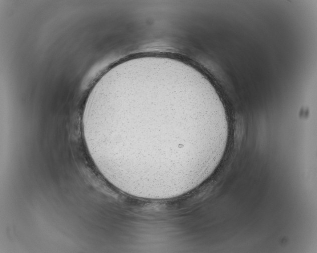 X0000112941358200910051145