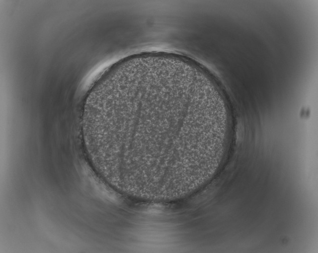 X0000112941359200910051145