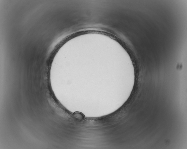 X0000112941360200910051145
