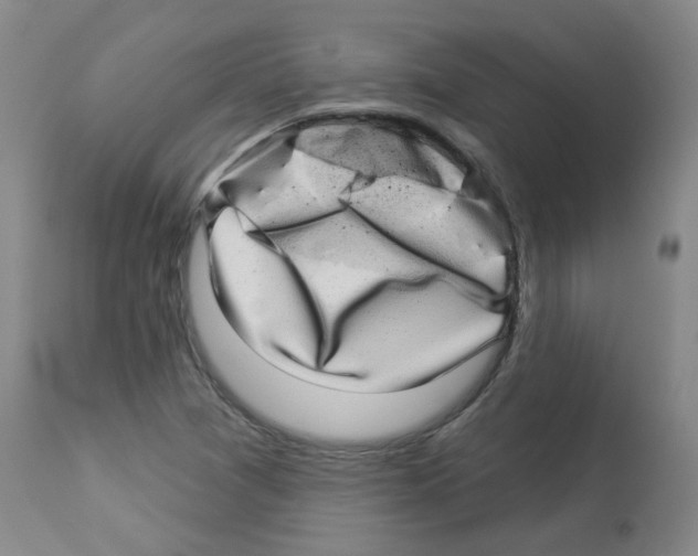 X0000112941361200910051145