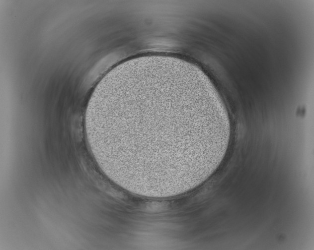 X0000112941362200910051145