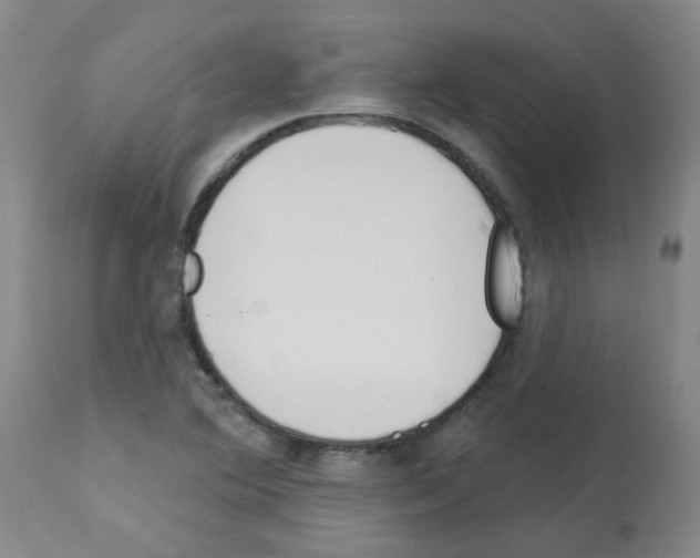 X0000112941364200910051145