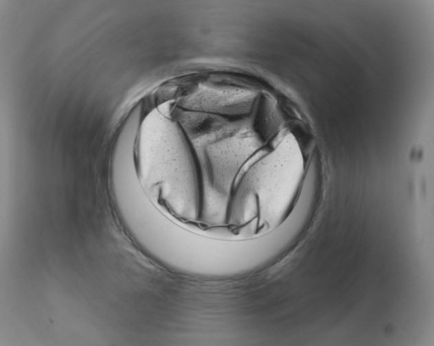 X0000112941365200910051145