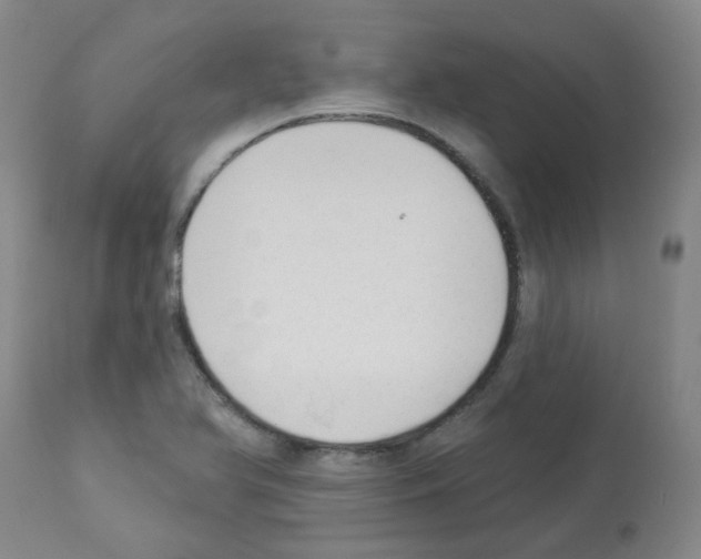 X0000112941366200910051145