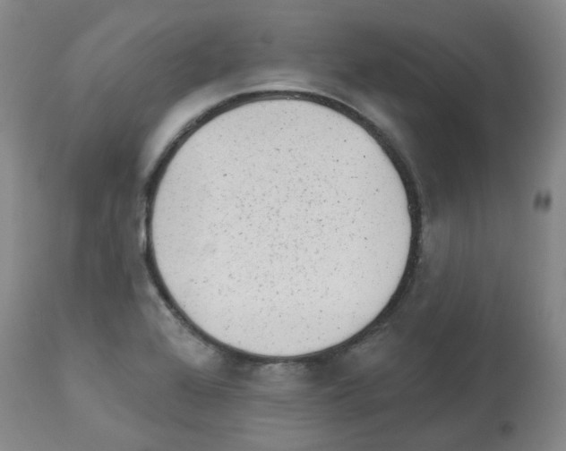 X0000112941368200910051145