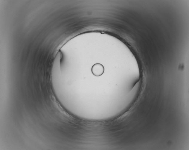 X0000112941369200910051145
