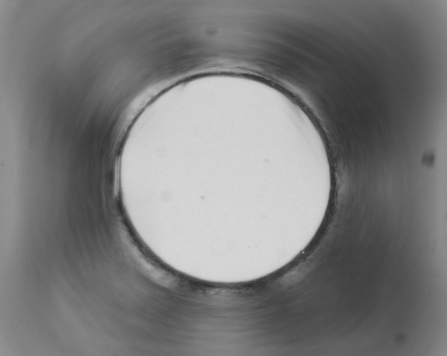 X0000112941371200910051145
