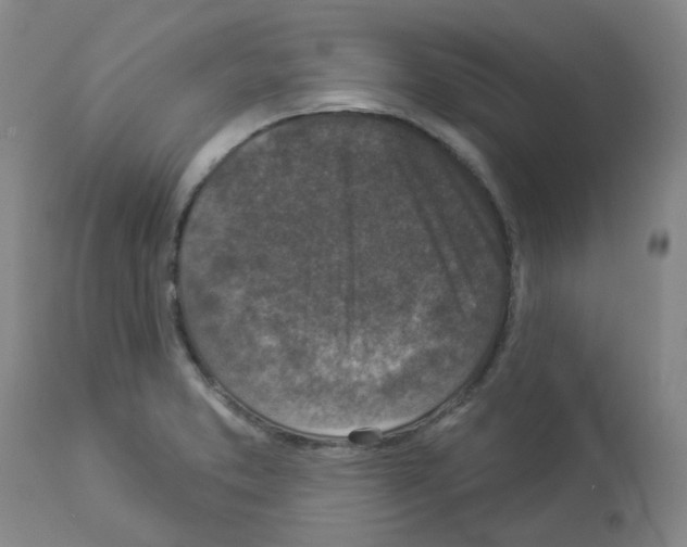 X0000112941373200910051145