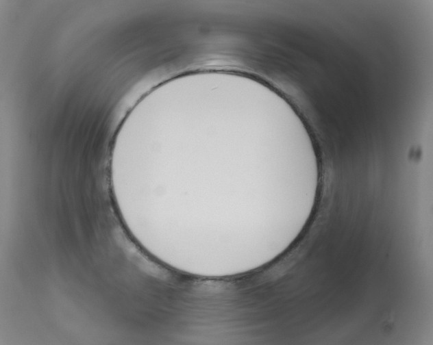 X0000112941374200910051145