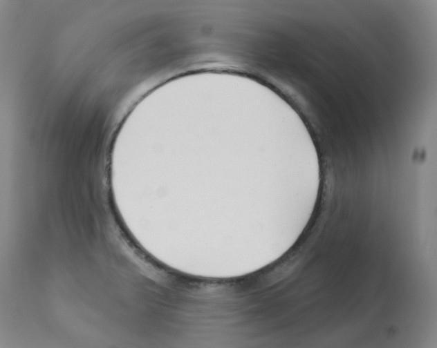 X0000112941375200910051145
