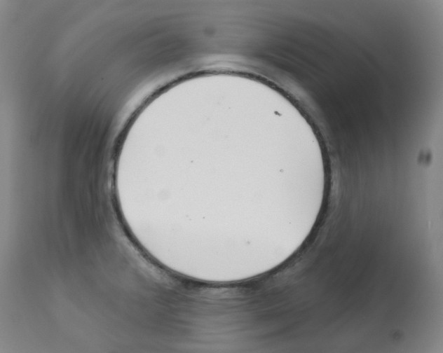 X0000112941376200910051145