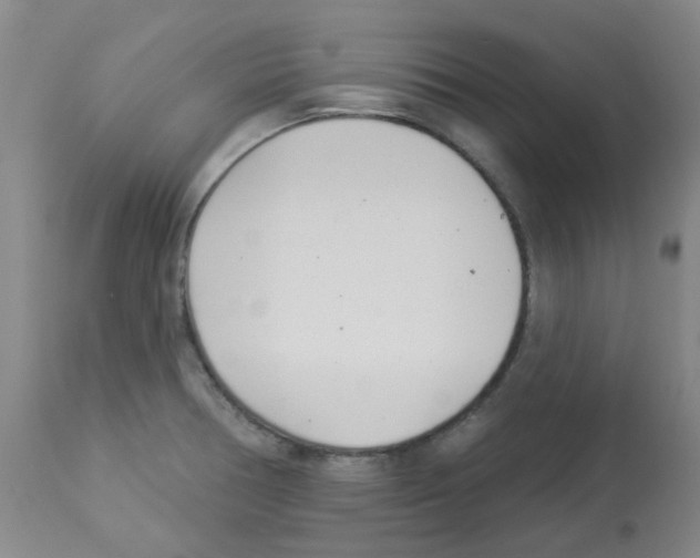 X0000112941378200910051145