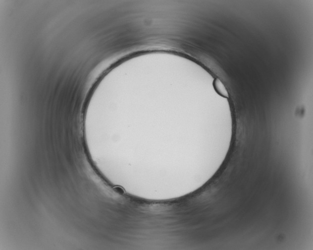 X0000112941380200910051145