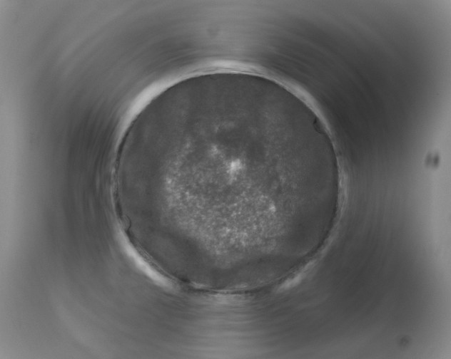 X0000112941381200910051145