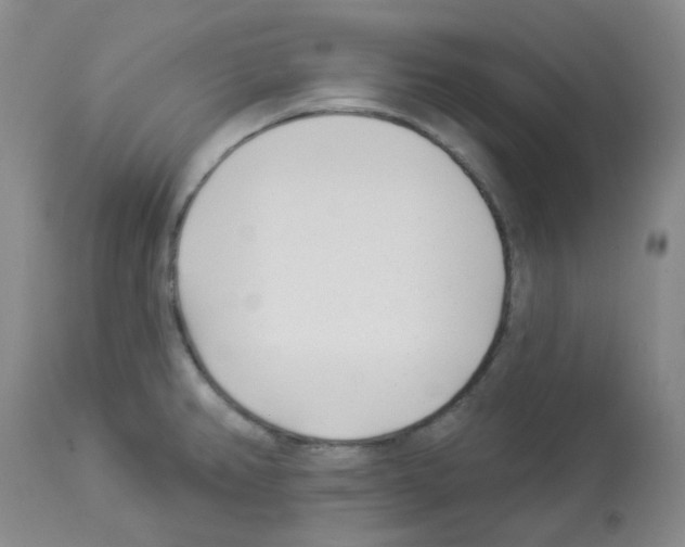 X0000112941382200910051145