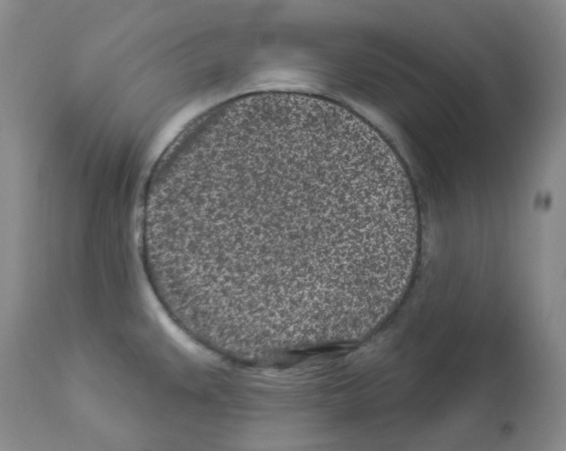 X0000112941383200910051145