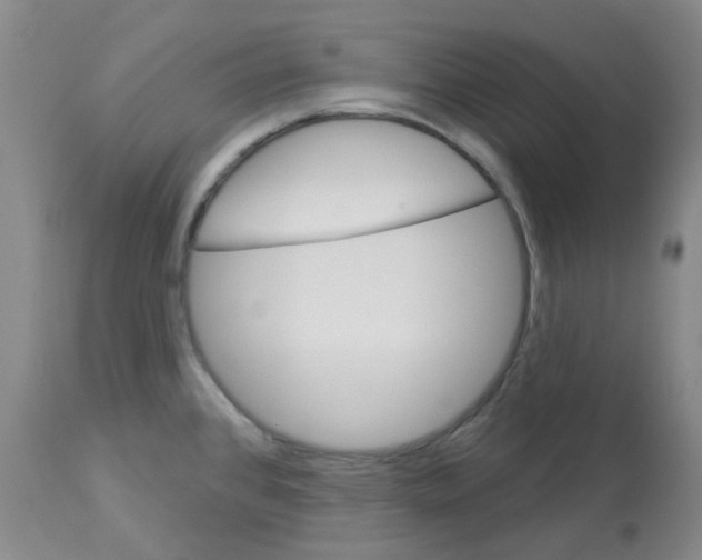 X0000112941384200910051145