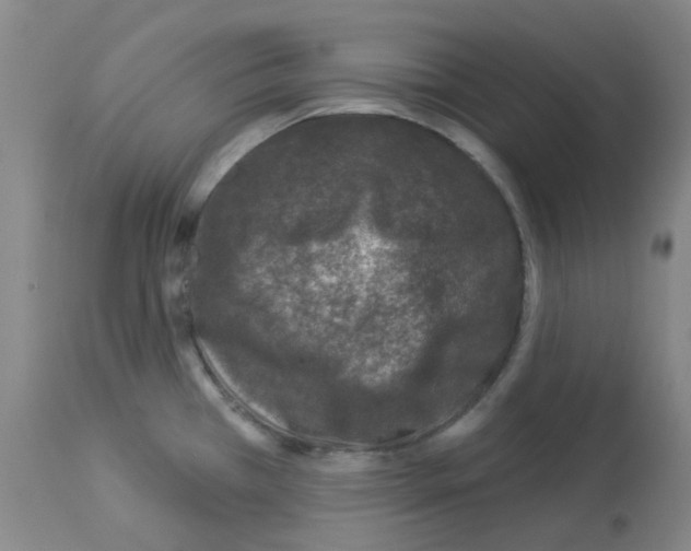 X0000112941385200910051145