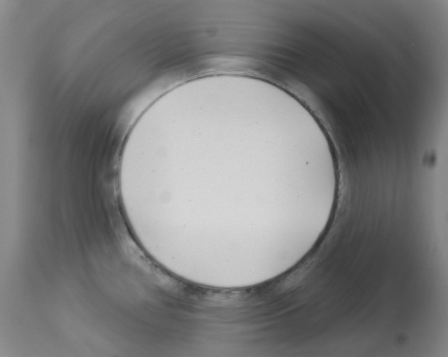 X0000112941386200910051145