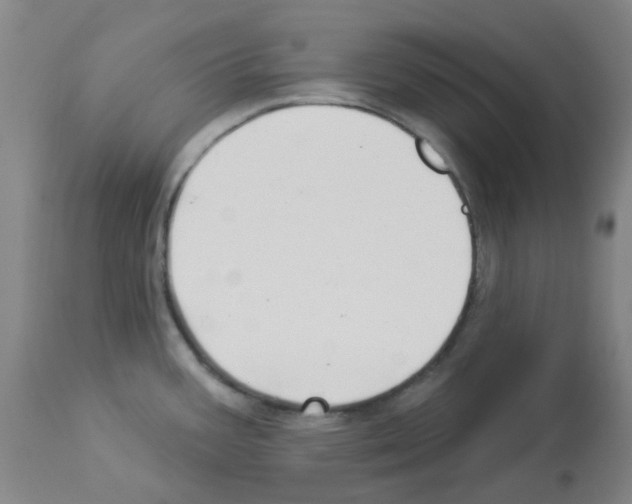 X0000112941387200910051145