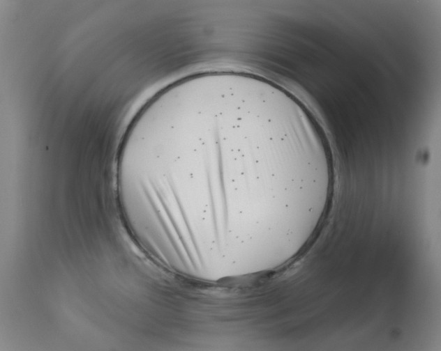 X0000112941388200910051145