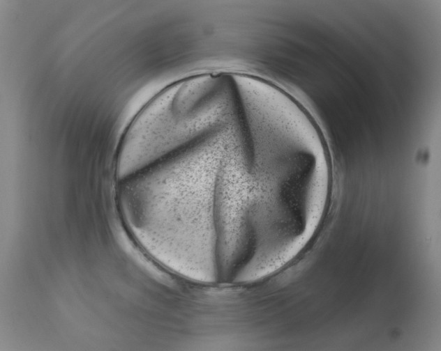 X0000112941389200910051145