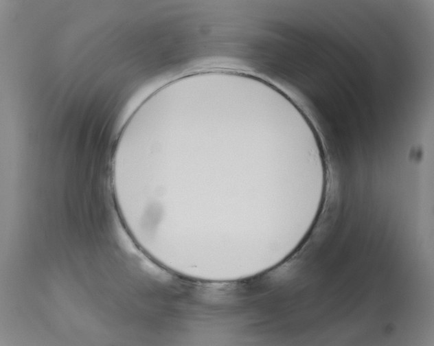 X0000112941390200910051145