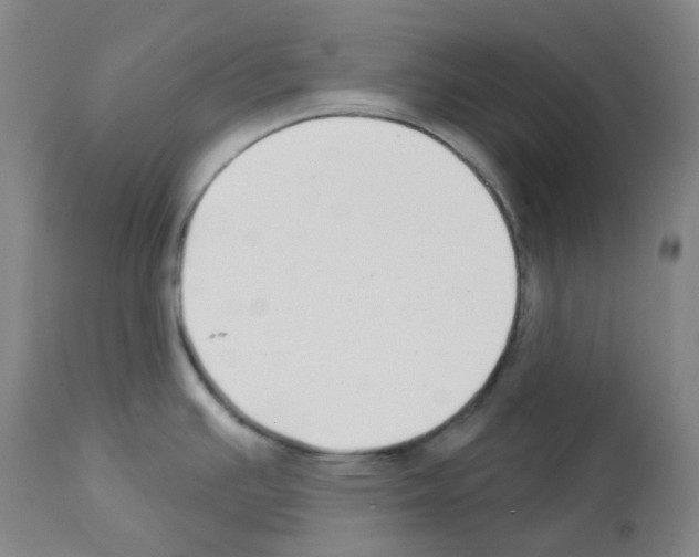 X0000112941391200910051145
