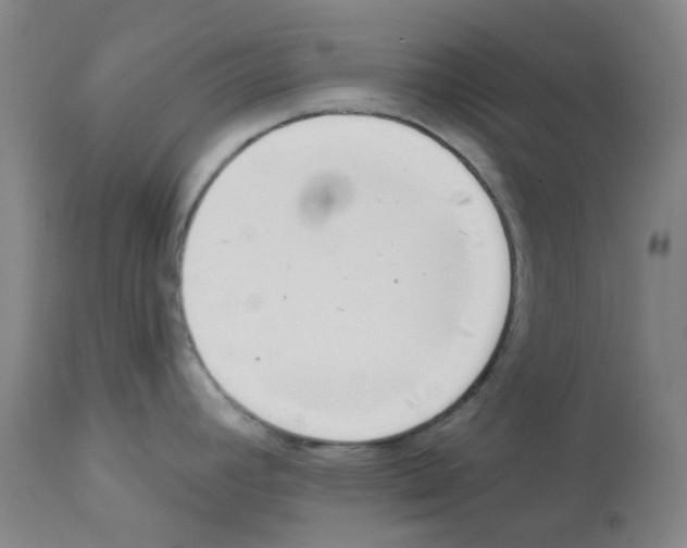 X0000112941392200910051145