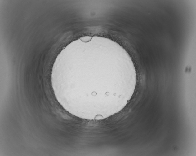 X0000112941393200910051144