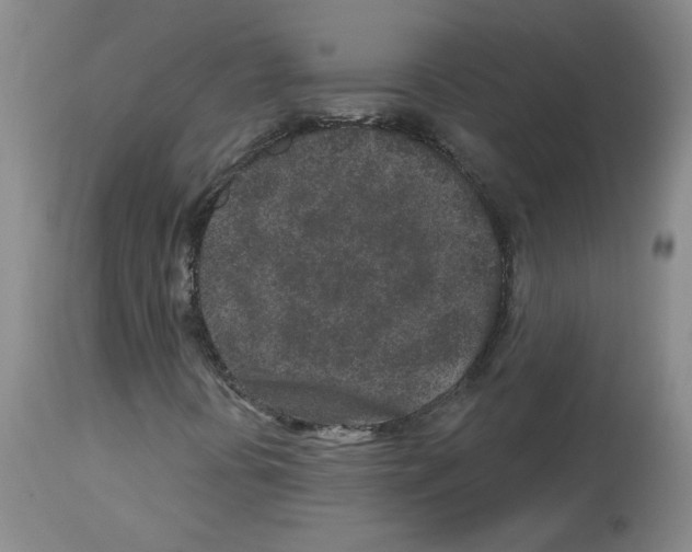 X0000112941394200910051144