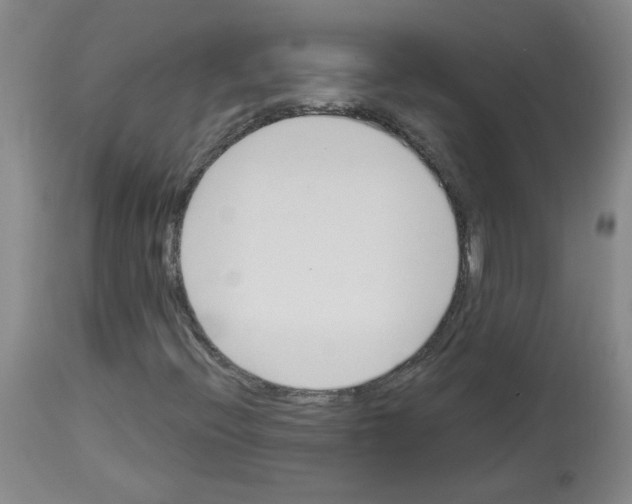 X0000112941396200910051144