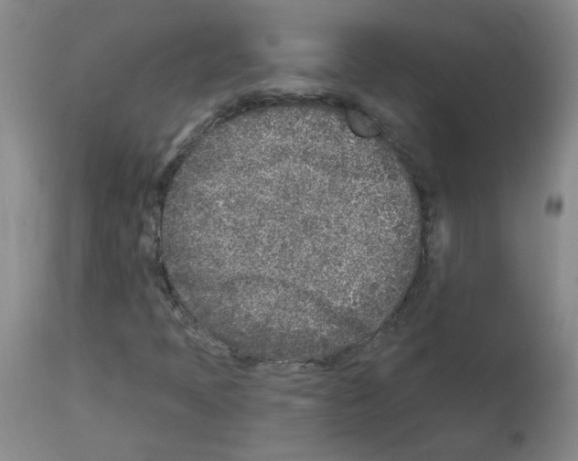 X0000112941397200910051144