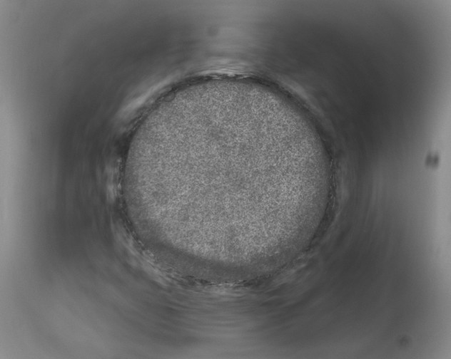 X0000112941399200910051144