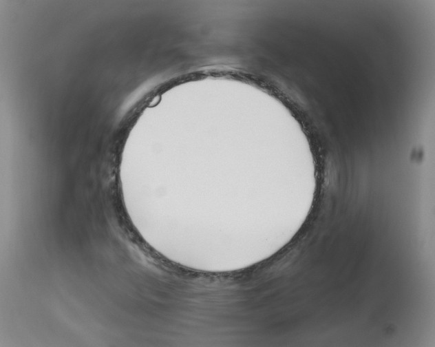 X0000112941400200910051144