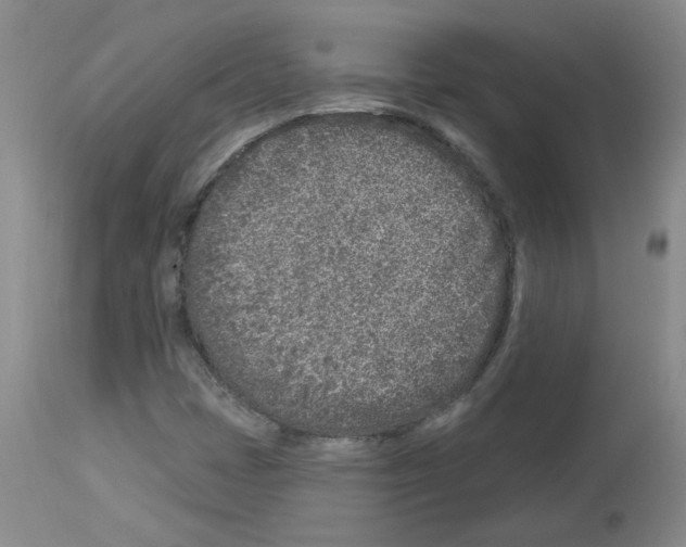 X0000112941401200910051144