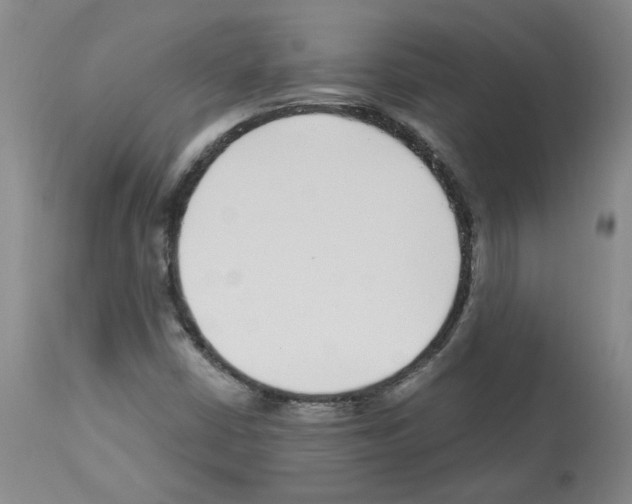 X0000112941402200910051144