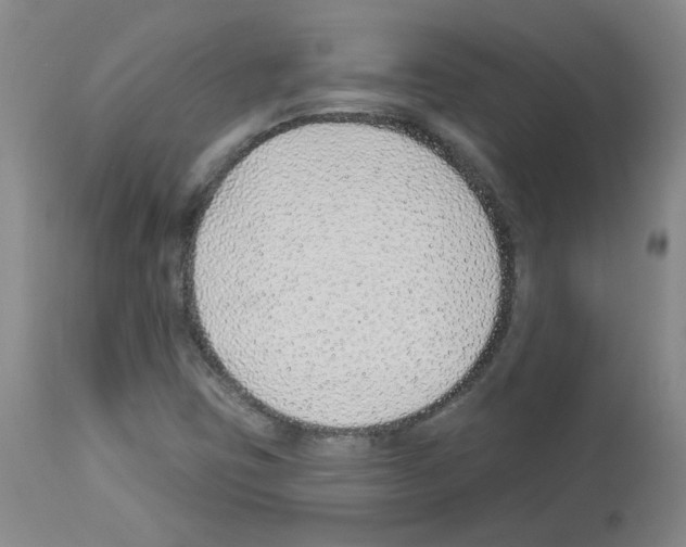 X0000112941403200910051144