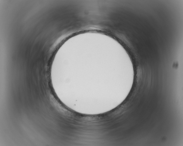 X0000112941404200910051144
