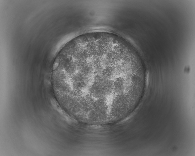 X0000112941405200910051144