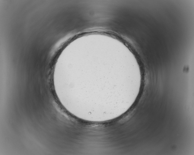 X0000112941406200910051144