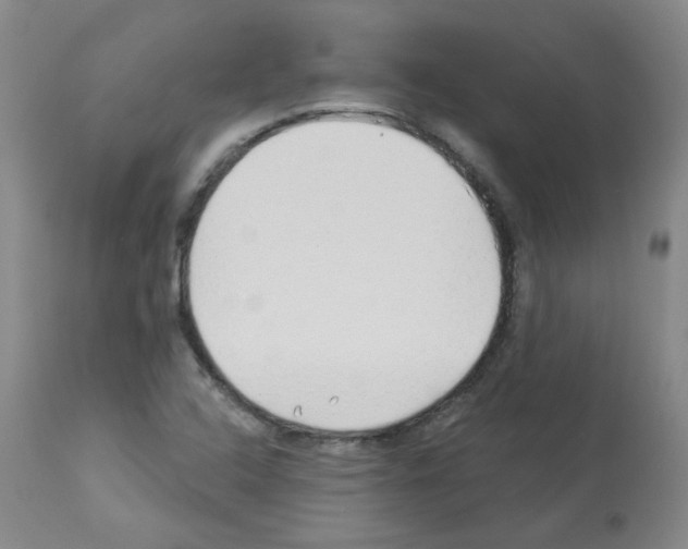 X0000112941408200910051144