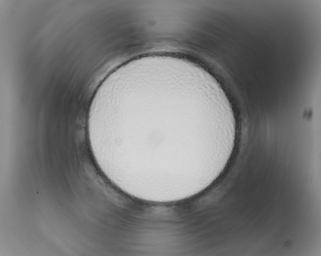 X0000112941409200910051144