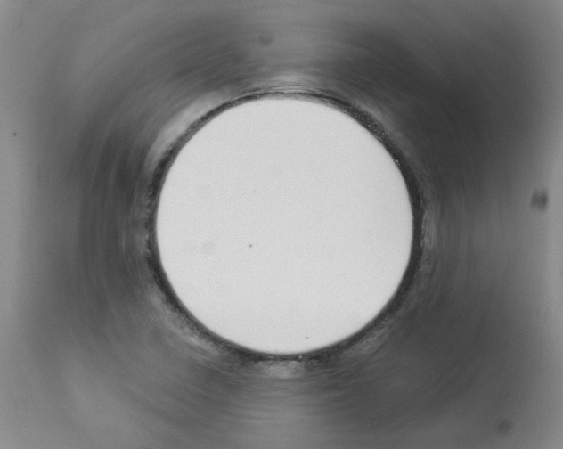 X0000112941410200910051144