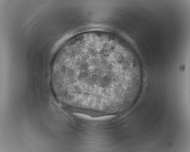 X0000112941411200910051144